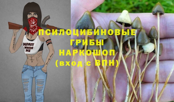 тгк Балабаново