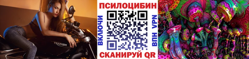 Купить где  Славянск-на-Кубани  Галлюциногенные грибы Magic Shrooms 